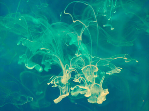 Neli.Ootjers-Wind-thema-inkt-in-water-1.j